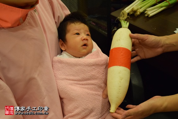 剃胎毛、滿月剃頭、嬰兒剃頭、嬰兒理髮、嬰兒剃髮、嬰兒剃胎毛、嬰兒滿月剃頭、寶寶剃頭、剃胎毛儀式、剃胎毛吉祥話、滿月剃頭儀式、滿月剃頭吉祥話、寶寶剃胎毛、寶寶滿月剃頭理髮、 新北市中和地區剃胎毛、新北市中和地區滿月剃頭、新北市中和地區嬰兒剃頭剃胎毛、新北市中和地區嬰兒理髮、新北市嬰兒剃髮、 江寶寶(新北中和區到府嬰兒寶寶滿月剃頭理髮、免費到府嬰兒剃胎毛儀式吉祥話)。到府剃頭剃胎毛主持、專業拍照、DVD光碟、證書。★購買「臍帶章、肚臍章、胎毛筆刷印章」贈送：剃頭、收涎、抓周，三選一。2017.09.10照片13