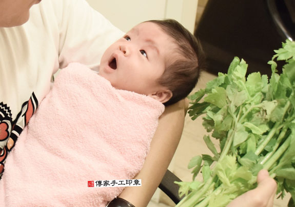 蔡寶寶(新北中和區到府嬰兒寶寶滿月剃頭理髮、免費到府嬰兒剃胎毛儀式吉祥話)。到府剃頭剃胎毛主持、專業拍照、DVD光碟、證書。★購買「臍帶章、肚臍章、胎毛筆刷印章」贈送：剃頭、收涎、抓周，三選一。2015.11.04 照片10