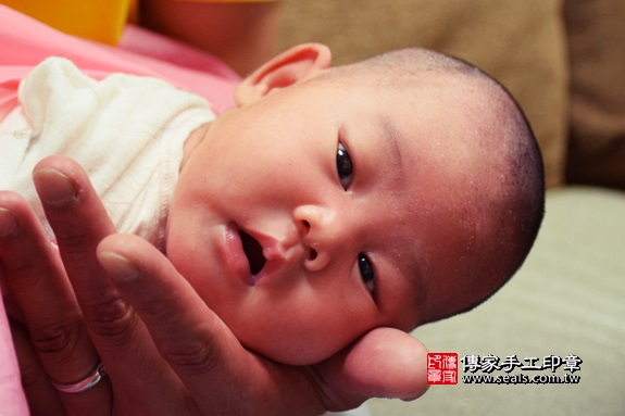 剃胎毛、滿月剃頭、嬰兒剃頭、嬰兒理髮、嬰兒剃髮、嬰兒剃胎毛、嬰兒滿月剃頭、寶寶剃頭、剃胎毛儀式、剃胎毛吉祥話、滿月剃頭儀式、滿月剃頭吉祥話、寶寶剃胎毛、寶寶滿月剃頭理髮、 台中市北屯地區剃胎毛、台中市北屯地區滿月剃頭、台中市北屯地區嬰兒剃頭剃胎毛、台中市北屯地區嬰兒理髮、台中市嬰兒剃髮、張寶寶(台中北屯區到府嬰兒寶寶滿月剃頭理髮、免費到府嬰兒剃胎毛儀式吉祥話)。到府剃頭剃胎毛主持、專業拍照、DVD光碟、證書。★購買「臍帶章、肚臍章、胎毛筆刷印章」贈送：剃頭、收涎、抓周，三選一。2017.10.10照片19