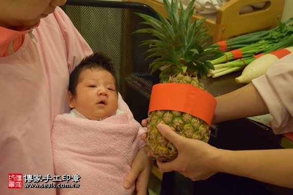 剃胎毛、滿月剃頭、嬰兒剃頭、嬰兒理髮、嬰兒剃髮、嬰兒剃胎毛、嬰兒滿月剃頭、寶寶剃頭、剃胎毛儀式、剃胎毛吉祥話、滿月剃頭儀式、滿月剃頭吉祥話、寶寶剃胎毛、寶寶滿月剃頭理髮、 新北市中和地區剃胎毛、新北市中和地區滿月剃頭、新北市中和地區嬰兒剃頭剃胎毛、新北市中和地區嬰兒理髮、新北市嬰兒剃髮、 江寶寶(新北中和區到府嬰兒寶寶滿月剃頭理髮、免費到府嬰兒剃胎毛儀式吉祥話)。到府剃頭剃胎毛主持、專業拍照、DVD光碟、證書。★購買「臍帶章、肚臍章、胎毛筆刷印章」贈送：剃頭、收涎、抓周，三選一。2017.09.10照片14