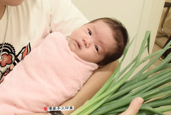 蔡寶寶(新北中和區到府嬰兒寶寶滿月剃頭理髮、免費到府嬰兒剃胎毛儀式吉祥話)。到府剃頭剃胎毛主持、專業拍照、DVD光碟、證書。★購買「臍帶章、肚臍章、胎毛筆刷印章」贈送：剃頭、收涎、抓周，三選一。2015.11.04 照片11