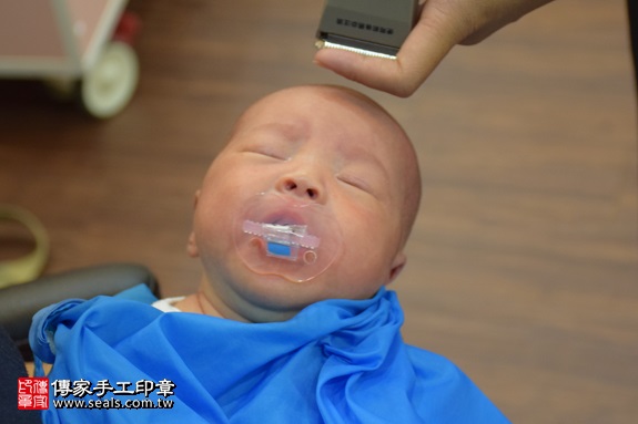剃胎毛、滿月剃頭、嬰兒剃頭、嬰兒理髮、嬰兒剃髮、嬰兒剃胎毛、嬰兒滿月剃頭、寶寶剃頭、剃胎毛儀式、剃胎毛吉祥話、滿月剃頭儀式、滿月剃頭吉祥話、寶寶剃胎毛、寶寶滿月剃頭理髮、 新竹縣竹北地區剃胎毛、新竹縣竹北地區滿月剃頭、新竹縣竹北地區嬰兒剃頭剃胎毛、新竹縣竹北地區嬰兒理髮、新竹縣嬰兒剃髮、邱寶寶(新竹竹北區府嬰兒寶寶滿月剃頭理髮、免費到府嬰兒剃胎毛儀式吉祥話)。到府剃頭剃胎毛主持、專業拍照、DVD光碟、證書。★購買「臍帶章、肚臍章、胎毛筆刷印章」贈送：剃頭、收涎、抓周，三選一。2017.09.14照片16