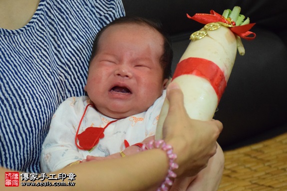 剃胎毛、滿月剃頭、嬰兒剃頭、嬰兒理髮、嬰兒剃髮、嬰兒剃胎毛、嬰兒滿月剃頭、寶寶剃頭、剃胎毛儀式、剃胎毛吉祥話、滿月剃頭儀式、滿月剃頭吉祥話、寶寶剃胎毛、寶寶滿月剃頭理髮、 桃園桃園區剃胎毛、桃園桃園區滿月剃頭、 桃園桃園區嬰兒剃頭剃胎毛、桃園桃園區嬰兒理髮、桃園桃園區嬰兒剃髮、鄭寶寶(桃園桃園區到府嬰兒寶寶滿月剃頭理髮、免費到府嬰兒剃胎毛儀式吉祥話)。到府剃頭剃胎毛主持、專業拍照、DVD光碟、證書。★購買「臍帶章、肚臍章、胎毛筆刷印章」贈送：剃頭、收涎、抓周，三選一。2016.10.31  照片13