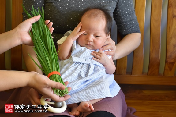 剃胎毛、滿月剃頭、嬰兒剃頭、嬰兒理髮、嬰兒剃髮、嬰兒剃胎毛、嬰兒滿月剃頭、寶寶剃頭、剃胎毛儀式、剃胎毛吉祥話、滿月剃頭儀式、滿月剃頭吉祥話、寶寶剃胎毛、寶寶滿月剃頭理髮、 桃園市桃園地區剃胎毛、桃園市桃園地區滿月剃頭、桃園市桃園地區嬰兒剃頭剃胎毛、桃園市桃園地區嬰兒理髮、桃園市嬰兒剃髮、李寶寶(桃園桃園區到府嬰兒寶寶滿月剃頭理髮、免費到府嬰兒剃胎毛儀式吉祥話)。到府剃頭剃胎毛主持、專業拍照、DVD光碟、證書。★購買「臍帶章、肚臍章、胎毛筆刷印章」贈送：剃頭、收涎、抓周，三選一。2017.11.10照片10