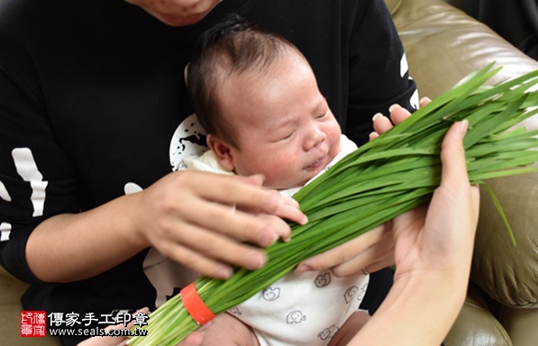 剃胎毛、滿月剃頭、嬰兒剃頭、嬰兒理髮、嬰兒剃髮、嬰兒剃胎毛、嬰兒滿月剃頭、寶寶剃頭、剃胎毛儀式、剃胎毛吉祥話、滿月剃頭儀式、滿月剃頭吉祥話、寶寶剃胎毛、寶寶滿月剃頭理髮、 新北中和區剃胎毛、新北中和區滿月剃頭、 新北中和區嬰兒剃頭剃胎毛、新北中和區嬰兒理髮、新北中和區嬰兒剃髮、簡寶寶(新北中和區到府嬰兒寶寶滿月剃頭理髮、免費到府嬰兒剃胎毛儀式吉祥話)。到府剃頭剃胎毛主持、專業拍照、DVD光碟、證書。★購買「臍帶章、肚臍章、胎毛筆刷印章」贈送：剃頭、收涎、抓周，三選一。2017.04.23  照片9