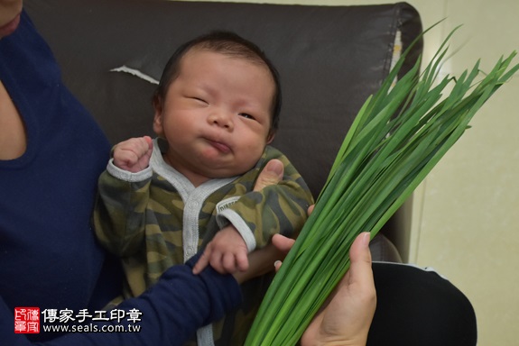 剃胎毛、滿月剃頭、嬰兒剃頭、嬰兒理髮、嬰兒剃髮、嬰兒剃胎毛、嬰兒滿月剃頭、寶寶剃頭、剃胎毛儀式、剃胎毛吉祥話、滿月剃頭儀式、滿月剃頭吉祥話、寶寶剃胎毛、寶寶滿月剃頭理髮、 新北市三重地區剃胎毛、新北市三重地區滿月剃頭、新北市三重地區嬰兒剃頭剃胎毛、新北市三重地區嬰兒理髮、新北市嬰兒剃髮、沈寶寶(新北三重區到府嬰兒寶寶滿月剃頭理髮、免費到府嬰兒剃胎毛儀式吉祥話)。到府剃頭剃胎毛主持、專業拍照、DVD光碟、證書。★購買「臍帶章、肚臍章、胎毛筆刷印章」贈送：剃頭、收涎、抓周，三選一。2017.11.17照片12