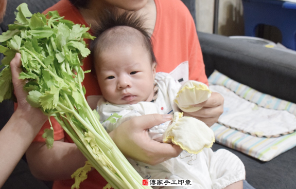 許寶寶(新北新莊區到府嬰兒寶寶滿月剃頭理髮、免費到府嬰兒剃胎毛儀式吉祥話)。到府剃頭剃胎毛主持、專業拍照、DVD光碟、證書。★購買「臍帶章、肚臍章、胎毛筆刷印章」贈送：剃頭、收涎、抓周，三選一。2015.11.30 照片11