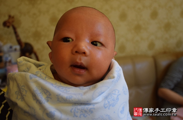 胡寶寶(新北新莊區)-製作胎毛 .....照:10