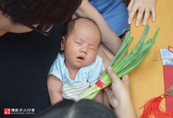 剃胎毛、滿月剃頭、嬰兒剃頭、嬰兒理髮、嬰兒剃髮、嬰兒剃胎毛、嬰兒滿月剃頭、寶寶剃頭、剃胎毛儀式、剃胎毛吉祥話、滿月剃頭儀式、滿月剃頭吉祥話、寶寶剃胎毛、寶寶滿月剃頭理髮、 台中北區剃胎毛、台中北區滿月剃頭、 台中北區嬰兒剃頭剃胎毛、台中北區嬰兒理髮、台中北區嬰兒剃髮、蔡寶寶(台中北區到府嬰兒寶寶滿月剃頭理髮、免費到府嬰兒剃胎毛儀式吉祥話)。到府剃頭剃胎毛主持、專業拍照、DVD光碟、證書。★購買「臍帶章、肚臍章、胎毛筆刷印章」贈送：剃頭、收涎、抓周，三選一。2016.06.03  照片10