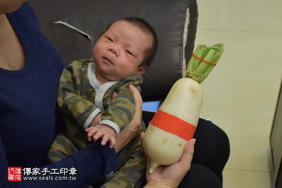 剃胎毛、滿月剃頭、嬰兒剃頭、嬰兒理髮、嬰兒剃髮、嬰兒剃胎毛、嬰兒滿月剃頭、寶寶剃頭、剃胎毛儀式、剃胎毛吉祥話、滿月剃頭儀式、滿月剃頭吉祥話、寶寶剃胎毛、寶寶滿月剃頭理髮、 新北市三重地區剃胎毛、新北市三重地區滿月剃頭、新北市三重地區嬰兒剃頭剃胎毛、新北市三重地區嬰兒理髮、新北市嬰兒剃髮、沈寶寶(新北三重區到府嬰兒寶寶滿月剃頭理髮、免費到府嬰兒剃胎毛儀式吉祥話)。到府剃頭剃胎毛主持、專業拍照、DVD光碟、證書。★購買「臍帶章、肚臍章、胎毛筆刷印章」贈送：剃頭、收涎、抓周，三選一。2017.11.17照片13