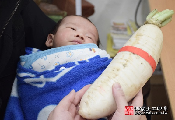 剃胎毛、滿月剃頭、嬰兒剃頭、嬰兒理髮、嬰兒剃髮、嬰兒剃胎毛、嬰兒滿月剃頭、寶寶剃頭、剃胎毛儀式、剃胎毛吉祥話、滿月剃頭儀式、滿月剃頭吉祥話、寶寶剃胎毛、寶寶滿月剃頭理髮、新北永和區剃胎毛、新北永和區滿月剃頭、新北永和區嬰兒剃頭剃胎毛、新北永和區嬰兒理髮、新北永和區嬰兒剃髮、張寶寶們(新北永和區嬰兒寶寶滿月剃頭理髮、免費嬰兒剃胎毛儀式吉祥話)。中國風會場，爸媽寶貝免費穿「日中韓」古裝禮服。專業拍照、DVD光碟、證書。★購買「臍帶章、肚臍章、胎毛筆刷印章」贈送：剃頭、收涎、抓周，三選一。2016.03.24  照片12