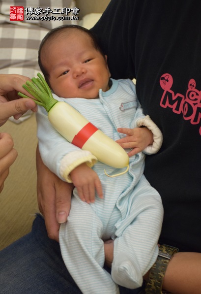 剃胎毛、滿月剃頭、嬰兒剃頭、嬰兒理髮、嬰兒剃髮、嬰兒剃胎毛、嬰兒滿月剃頭、寶寶剃頭、剃胎毛儀式、剃胎毛吉祥話、滿月剃頭儀式、滿月剃頭吉祥話、寶寶剃胎毛、寶寶滿月剃頭理髮、 台中北區剃胎毛、台中北區滿月剃頭、 台中北區嬰兒剃頭剃胎毛、台中北區嬰兒理髮、台中北區嬰兒剃髮、張寶寶(台中北區到府嬰兒寶寶滿月剃頭理髮、免費到府嬰兒剃胎毛儀式吉祥話)。到府剃頭剃胎毛主持、專業拍照、DVD光碟、證書。★購買「臍帶章、肚臍章、胎毛筆刷印章」贈送：剃頭、收涎、抓周，三選一。2016.04.07  照片11