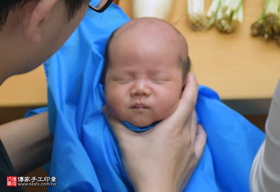 剃胎毛、滿月剃頭、嬰兒剃頭、嬰兒理髮、嬰兒剃髮、嬰兒剃胎毛、嬰兒滿月剃頭、寶寶剃頭、剃胎毛儀式、剃胎毛吉祥話、滿月剃頭儀式、滿月剃頭吉祥話、寶寶剃胎毛、寶寶滿月剃頭理髮、 台中北區剃胎毛、台中北區滿月剃頭、 台中北區嬰兒剃頭剃胎毛、台中北區嬰兒理髮、台中北區嬰兒剃髮、蔡寶寶(台中北區到府嬰兒寶寶滿月剃頭理髮、免費到府嬰兒剃胎毛儀式吉祥話)。到府剃頭剃胎毛主持、專業拍照、DVD光碟、證書。★購買「臍帶章、肚臍章、胎毛筆刷印章」贈送：剃頭、收涎、抓周，三選一。2016.06.03  照片14