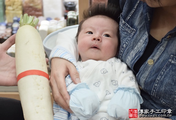 剃胎毛、滿月剃頭、嬰兒剃頭、嬰兒理髮、嬰兒剃髮、嬰兒剃胎毛、嬰兒滿月剃頭、寶寶剃頭、剃胎毛儀式、剃胎毛吉祥話、滿月剃頭儀式、滿月剃頭吉祥話、寶寶剃胎毛、寶寶滿月剃頭理髮、新北永和區剃胎毛、新北永和區滿月剃頭、新北永和區嬰兒剃頭剃胎毛、新北永和區嬰兒理髮、新北永和區嬰兒剃髮、小蘿蔔(新北永和區嬰兒寶寶滿月剃頭理髮、免費嬰兒剃胎毛儀式吉祥話)。中國風會場，爸媽寶貝免費穿「日中韓」古裝禮服。專業拍照、DVD光碟、證書。★購買「臍帶章、肚臍章、胎毛筆刷印章」贈送：剃頭、收涎、抓周，三選一。2016.05.14  照片11