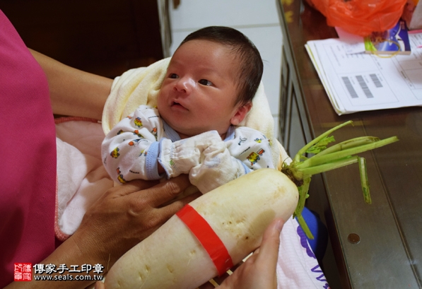 剃胎毛、滿月剃頭、嬰兒剃頭、嬰兒理髮、嬰兒剃髮、嬰兒剃胎毛、嬰兒滿月剃頭、寶寶剃頭、剃胎毛儀式、剃胎毛吉祥話、滿月剃頭儀式、滿月剃頭吉祥話、寶寶剃胎毛、寶寶滿月剃頭理髮、 台中北區剃胎毛、台中北區滿月剃頭、 台中北區嬰兒剃頭剃胎毛、台中北區嬰兒理髮、台中北區嬰兒剃髮、弟弟(台中北區到府嬰兒寶寶滿月剃頭理髮、免費到府嬰兒剃胎毛儀式吉祥話)。到府剃頭剃胎毛主持、專業拍照、DVD光碟、證書。★購買「臍帶章、肚臍章、胎毛筆刷印章」贈送：剃頭、收涎、抓周，三選一。2016.04.29  照片13