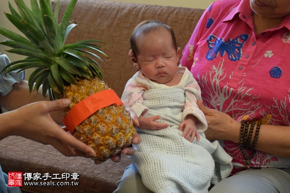 剃胎毛、滿月剃頭、嬰兒剃頭、嬰兒理髮、嬰兒剃髮、嬰兒剃胎毛、嬰兒滿月剃頭、寶寶剃頭、剃胎毛儀式、剃胎毛吉祥話、滿月剃頭儀式、滿月剃頭吉祥話、寶寶剃胎毛、寶寶滿月剃頭理髮、 新北市北投地區剃胎毛、新北市北投地區滿月剃頭、新北市北投地區嬰兒剃頭剃胎毛、新北市北投地區嬰兒理髮、新北市嬰兒剃髮、蘇寶寶(新北北投區到府嬰兒寶寶滿月剃頭理髮、免費到府嬰兒剃胎毛儀式吉祥話)。到府剃頭剃胎毛主持、專業拍照、DVD光碟、證書。★購買「臍帶章、肚臍章、胎毛筆刷印章」贈送：剃頭、收涎、抓周，三選一。2017.09.18照片18