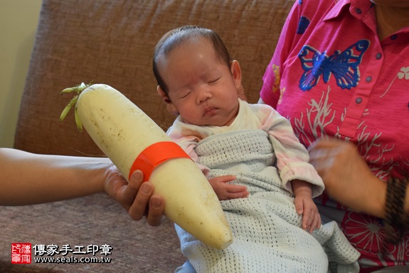 剃胎毛、滿月剃頭、嬰兒剃頭、嬰兒理髮、嬰兒剃髮、嬰兒剃胎毛、嬰兒滿月剃頭、寶寶剃頭、剃胎毛儀式、剃胎毛吉祥話、滿月剃頭儀式、滿月剃頭吉祥話、寶寶剃胎毛、寶寶滿月剃頭理髮、 新北市北投地區剃胎毛、新北市北投地區滿月剃頭、新北市北投地區嬰兒剃頭剃胎毛、新北市北投地區嬰兒理髮、新北市嬰兒剃髮、蘇寶寶(新北北投區到府嬰兒寶寶滿月剃頭理髮、免費到府嬰兒剃胎毛儀式吉祥話)。到府剃頭剃胎毛主持、專業拍照、DVD光碟、證書。★購買「臍帶章、肚臍章、胎毛筆刷印章」贈送：剃頭、收涎、抓周，三選一。2017.09.18照片20