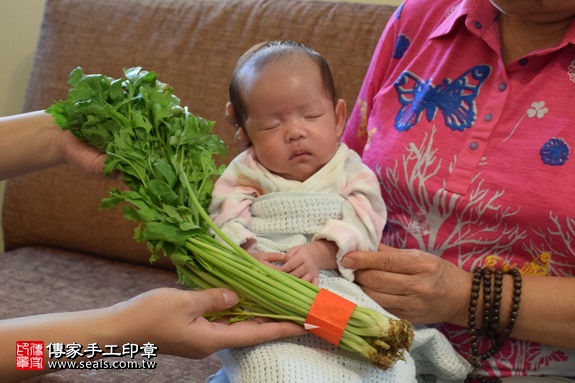 剃胎毛、滿月剃頭、嬰兒剃頭、嬰兒理髮、嬰兒剃髮、嬰兒剃胎毛、嬰兒滿月剃頭、寶寶剃頭、剃胎毛儀式、剃胎毛吉祥話、滿月剃頭儀式、滿月剃頭吉祥話、寶寶剃胎毛、寶寶滿月剃頭理髮、 新北市北投地區剃胎毛、新北市北投地區滿月剃頭、新北市北投地區嬰兒剃頭剃胎毛、新北市北投地區嬰兒理髮、新北市嬰兒剃髮、蘇寶寶(新北北投區到府嬰兒寶寶滿月剃頭理髮、免費到府嬰兒剃胎毛儀式吉祥話)。到府剃頭剃胎毛主持、專業拍照、DVD光碟、證書。★購買「臍帶章、肚臍章、胎毛筆刷印章」贈送：剃頭、收涎、抓周，三選一。2017.09.18照片24