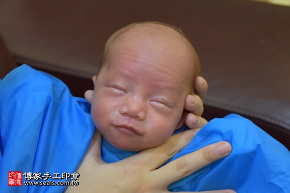 剃胎毛、滿月剃頭、嬰兒剃頭、嬰兒理髮、嬰兒剃髮、嬰兒剃胎毛、嬰兒滿月剃頭、寶寶剃頭、剃胎毛儀式、剃胎毛吉祥話、滿月剃頭儀式、滿月剃頭吉祥話、寶寶剃胎毛、寶寶滿月剃頭理髮、 新北市新莊地區剃胎毛、新北市新莊地區滿月剃頭、新北市新莊地區嬰兒剃頭剃胎毛、新北市新莊地區嬰兒理髮、新北市嬰兒剃髮、郭寶寶(新北新莊區到府嬰兒寶寶滿月剃頭理髮、免費到府嬰兒剃胎毛儀式吉祥話)。到府剃頭剃胎毛主持、專業拍照、DVD光碟、證書。★購買「臍帶章、肚臍章、胎毛筆刷印章」贈送：剃頭、收涎、抓周，三選一。2017.11.06照片24