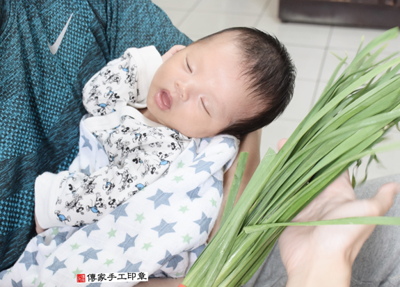 江寶寶(新北中和區到府嬰兒寶寶滿月剃頭理髮、免費到府嬰兒剃胎毛儀式吉祥話)。到府剃頭剃胎毛主持、專業拍照、DVD光碟、證書。★購買「臍帶章、肚臍章、胎毛筆刷印章」贈送：剃頭、收涎、抓周，三選一。2015.11.12 照片10