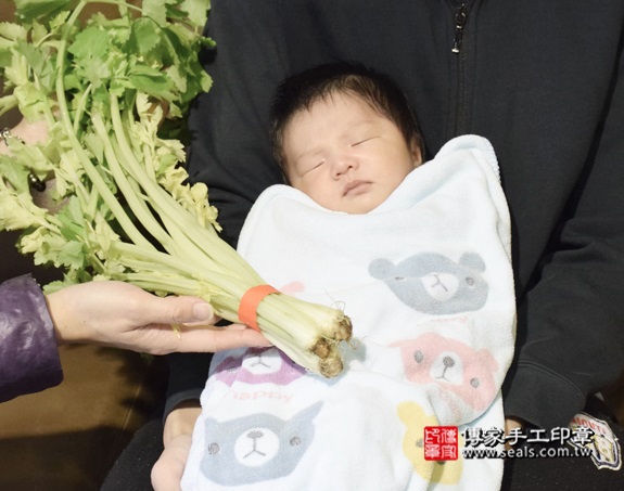 剃胎毛、滿月剃頭、嬰兒剃頭、嬰兒理髮、嬰兒剃髮、嬰兒剃胎毛、嬰兒滿月剃頭、寶寶剃頭、剃胎毛儀式、剃胎毛吉祥話、滿月剃頭儀式、滿月剃頭吉祥話、寶寶剃胎毛、寶寶滿月剃頭理髮、 新北淡水區剃胎毛、新北淡水區滿月剃頭、 新北淡水區嬰兒剃頭剃胎毛、新北淡水區嬰兒理髮、新北淡水區嬰兒剃髮、呂寶寶(新北淡水區到府嬰兒寶寶滿月剃頭理髮、免費到府嬰兒剃胎毛儀式吉祥話)。到府剃頭剃胎毛主持、專業拍照、DVD光碟、證書。★購買「臍帶章、肚臍章、胎毛筆刷印章」贈送：剃頭、收涎、抓周，三選一。2016.01.21 照片10