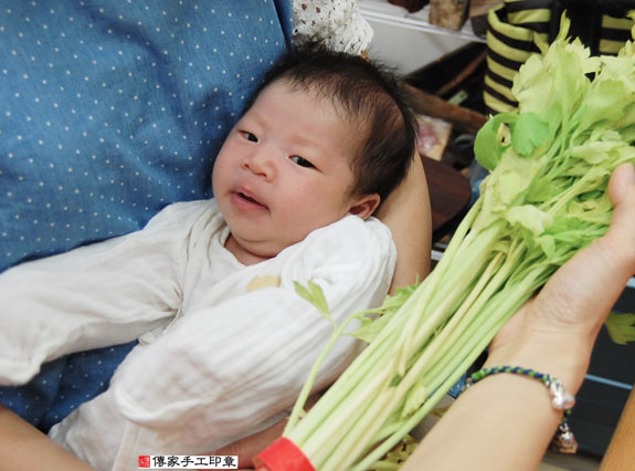 蔡寶寶(新北永和區嬰兒寶寶滿月剃頭理髮、免費嬰兒剃胎毛儀式吉祥話)。中國風會場，爸媽寶貝免費穿「日中韓」古裝禮服。專業拍照、DVD光碟、證書。★購買「臍帶章、肚臍章、胎毛筆刷印章」贈送：剃頭、收涎、抓周，三選一。 2015.08.12 照片10