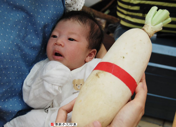 蔡寶寶(新北永和區嬰兒寶寶滿月剃頭理髮、免費嬰兒剃胎毛儀式吉祥話)。中國風會場，爸媽寶貝免費穿「日中韓」古裝禮服。專業拍照、DVD光碟、證書。★購買「臍帶章、肚臍章、胎毛筆刷印章」贈送：剃頭、收涎、抓周，三選一。 2015.08.12 照片12