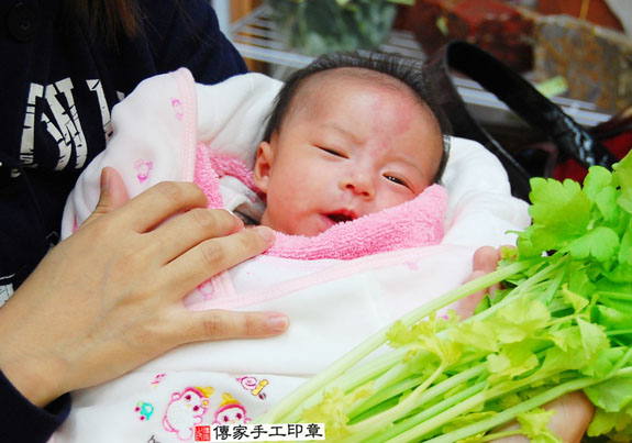 胡寶寶(新北永和區嬰兒寶寶滿月剃頭理髮、免費嬰兒剃胎毛儀式吉祥話)。中國風會場，爸媽寶貝免費穿「日中韓」古裝禮服。專業拍照、DVD光碟、證書。★購買「臍帶章、肚臍章、胎毛筆刷印章」贈送：剃頭、收涎、抓周，三選一。 2015.01.26 照片8