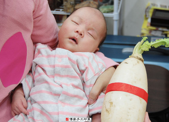 謝寶寶(新北永和區嬰兒寶寶滿月剃頭理髮、免費嬰兒剃胎毛儀式吉祥話)。中國風會場，爸媽寶貝免費穿「日中韓」古裝禮服。專業拍照、DVD光碟、證書。★購買「臍帶章、肚臍章、胎毛筆刷印章」贈送：剃頭、收涎、抓周，三選一。 2015.11.02 照片8