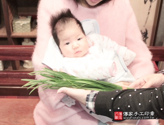 剃胎毛、滿月剃頭、嬰兒剃頭、嬰兒理髮、嬰兒剃髮、嬰兒剃胎毛、嬰兒滿月剃頭、寶寶剃頭、剃胎毛儀式、剃胎毛吉祥話、滿月剃頭儀式、滿月剃頭吉祥話、寶寶剃胎毛、寶寶滿月剃頭理髮、 台北大安區剃胎毛、台北大安區滿月剃頭、 台北大安區嬰兒剃頭剃胎毛、台北大安區嬰兒理髮、台北大安區嬰兒剃髮、馬寶寶(台北大安區到府嬰兒寶寶滿月剃頭理髮、免費到府嬰兒剃胎毛儀式吉祥話)。到府剃頭剃胎毛主持、專業拍照、DVD光碟、證書。★購買「臍帶章、肚臍章、胎毛筆刷印章」贈送：剃頭、收涎、抓周，三選一。2016.01.27 照片12