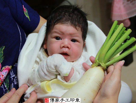 陳寶寶(新北永和區到府嬰兒寶寶滿月剃頭理髮、免費到府嬰兒剃胎毛儀式吉祥話)。到府剃頭剃胎毛主持、專業拍照、DVD光碟、證書。★購買「臍帶章、肚臍章、胎毛筆刷印章」贈送：剃頭、收涎、抓周，三選一。 2014.10.20 照片14