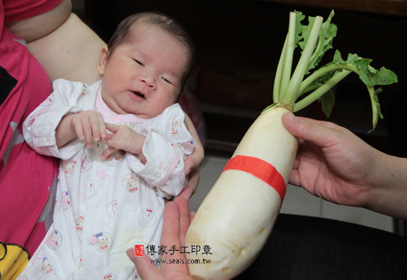 蔡寶寶(新北板橋區到府嬰兒寶寶滿月剃頭理髮、免費到府嬰兒剃胎毛儀式吉祥話)。到府剃頭剃胎毛主持、專業拍照、DVD光碟、證書。★購買「臍帶章、肚臍章、胎毛筆刷印章」贈送：剃頭、收涎、抓周，三選一。2015.08.13 照片13