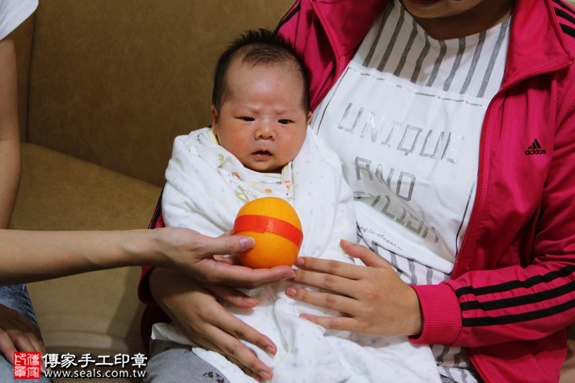 剃胎毛、滿月剃頭、嬰兒剃頭、嬰兒理髮、嬰兒剃髮、嬰兒剃胎毛、嬰兒滿月剃頭、寶寶剃頭、剃胎毛儀式、剃胎毛吉祥話、滿月剃頭儀式、滿月剃頭吉祥話、寶寶剃胎毛、寶寶滿月剃頭理髮、 台北萬華區剃胎毛、台北萬華區滿月剃頭、 台北萬華區嬰兒剃頭剃胎毛、台北萬華區嬰兒理髮、台北萬華區嬰兒剃髮、洪寶寶(台北萬華區到府嬰兒寶寶滿月剃頭理髮、免費到府嬰兒剃胎毛儀式吉祥話)。到府剃頭剃胎毛主持、專業拍照、DVD光碟、證書。★購買「臍帶章、肚臍章、胎毛筆刷印章」贈送：剃頭、收涎、抓周，三選一。2016.09.25  照片9