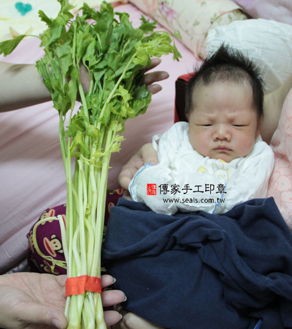 陳寶寶(新北新莊區到府嬰兒寶寶滿月剃頭理髮、免費到府嬰兒剃胎毛儀式吉祥話)。到府剃頭剃胎毛主持、專業拍照、DVD光碟、證書。★購買「臍帶章、肚臍章、胎毛筆刷印章」贈送：剃頭、收涎、抓周，三選一。2015.08.13 照片9