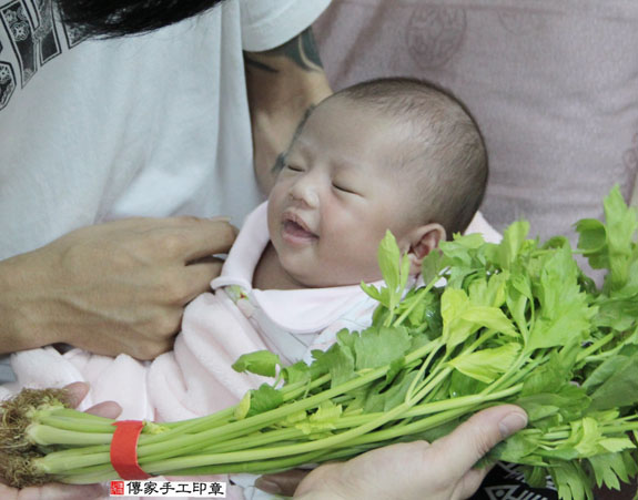 王寶寶(新北新莊區到府嬰兒寶寶滿月剃頭理髮、免費到府嬰兒剃胎毛儀式吉祥話)。到府剃頭剃胎毛主持、專業拍照、DVD光碟、證書。★購買「臍帶章、肚臍章、胎毛筆刷印章」贈送：剃頭、收涎、抓周，三選一。2015.07.18 照片6