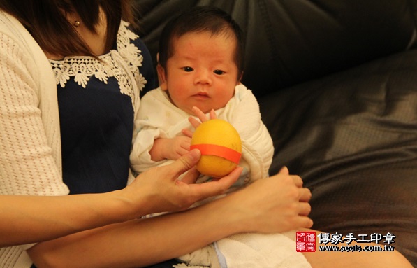 剃胎毛、滿月剃頭、嬰兒剃頭、嬰兒理髮、嬰兒剃髮、嬰兒剃胎毛、嬰兒滿月剃頭、寶寶剃頭、剃胎毛儀式、剃胎毛吉祥話、滿月剃頭儀式、滿月剃頭吉祥話、寶寶剃胎毛、寶寶滿月剃頭理髮、 台北萬華區剃胎毛、台北萬華區滿月剃頭、 台北萬華區嬰兒剃頭剃胎毛、台北萬華區嬰兒理髮、台北萬華區嬰兒剃髮、高寶寶(台北萬華區到府嬰兒寶寶滿月剃頭理髮、免費到府嬰兒剃胎毛儀式吉祥話)。到府剃頭剃胎毛主持、專業拍照、DVD光碟、證書。★購買「臍帶章、肚臍章、胎毛筆刷印章」贈送：剃頭、收涎、抓周，三選一。2016.08.02  照片11