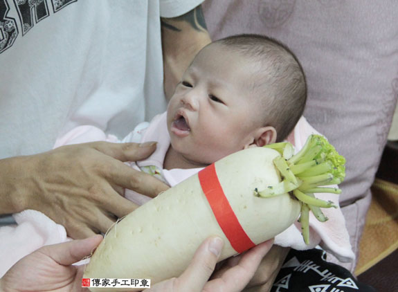 王寶寶(新北新莊區到府嬰兒寶寶滿月剃頭理髮、免費到府嬰兒剃胎毛儀式吉祥話)。到府剃頭剃胎毛主持、專業拍照、DVD光碟、證書。★購買「臍帶章、肚臍章、胎毛筆刷印章」贈送：剃頭、收涎、抓周，三選一。2015.07.18 照片8