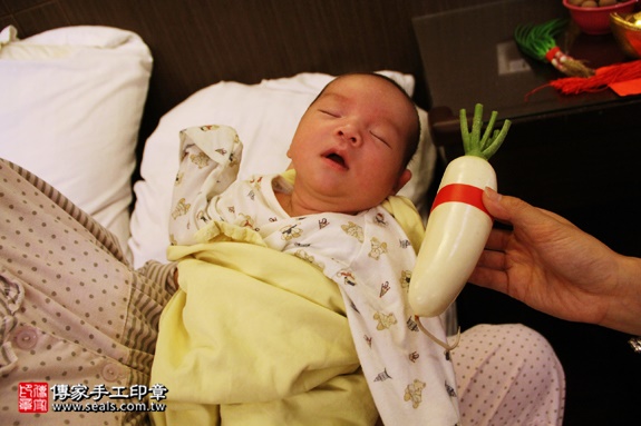 剃胎毛、滿月剃頭、嬰兒剃頭、嬰兒理髮、嬰兒剃髮、嬰兒剃胎毛、嬰兒滿月剃頭、寶寶剃頭、剃胎毛儀式、剃胎毛吉祥話、滿月剃頭儀式、滿月剃頭吉祥話、寶寶剃胎毛、寶寶滿月剃頭理髮、 新北永和區剃胎毛、新北永和區滿月剃頭、 新北永和區嬰兒剃頭剃胎毛、新北永和區嬰兒理髮、新北永和區嬰兒剃髮、張寶寶(新北永和區到府嬰兒寶寶滿月剃頭理髮、免費到府嬰兒剃胎毛儀式吉祥話)。到府剃頭剃胎毛主持、專業拍照、DVD光碟、證書。★購買「臍帶章、肚臍章、胎毛筆刷印章」贈送：剃頭、收涎、抓周，三選一。2016.08.17  照片11