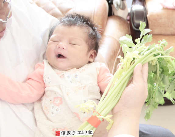 洪寶寶(新北樹林區到府嬰兒寶寶滿月剃頭理髮、免費到府嬰兒剃胎毛儀式吉祥話)。到府剃頭剃胎毛主持、專業拍照、DVD光碟、證書。★購買「臍帶章、肚臍章、胎毛筆刷印章」贈送：剃頭、收涎、抓周，三選一。2015.11.26 照片10