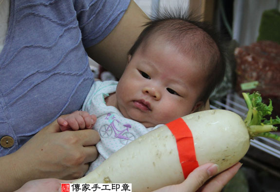 陳寶寶(新北永和區嬰兒寶寶滿月剃頭理髮、免費嬰兒剃胎毛儀式吉祥話)。中國風會場，爸媽寶貝免費穿「日中韓」古裝禮服。專業拍照、DVD光碟、證書。★購買「臍帶章、肚臍章、胎毛筆刷印章」贈送：剃頭、收涎、抓周，三選一。 2014.09.02 照片16