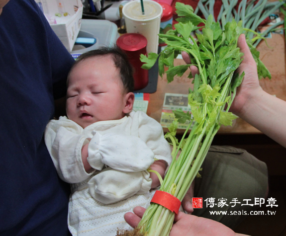 徐寶寶(新北板橋區到府嬰兒寶寶滿月剃頭理髮、免費到府嬰兒剃胎毛儀式吉祥話)。到府剃頭剃胎毛主持、專業拍照、DVD光碟、證書。★購買「臍帶章、肚臍章、胎毛筆刷印章」贈送：剃頭、收涎、抓周，三選一。2015.08.15 照片11