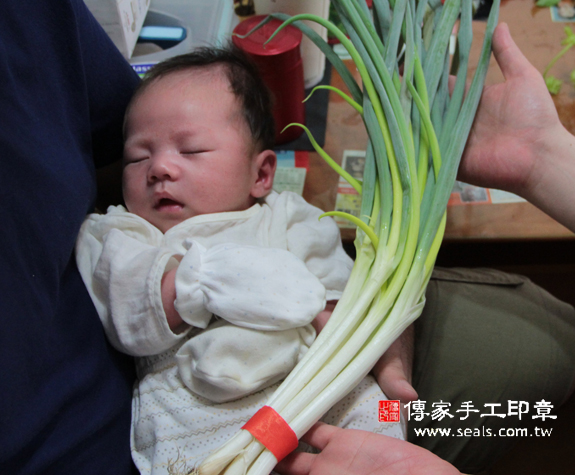 徐寶寶(新北板橋區到府嬰兒寶寶滿月剃頭理髮、免費到府嬰兒剃胎毛儀式吉祥話)。到府剃頭剃胎毛主持、專業拍照、DVD光碟、證書。★購買「臍帶章、肚臍章、胎毛筆刷印章」贈送：剃頭、收涎、抓周，三選一。2015.08.15 照片12