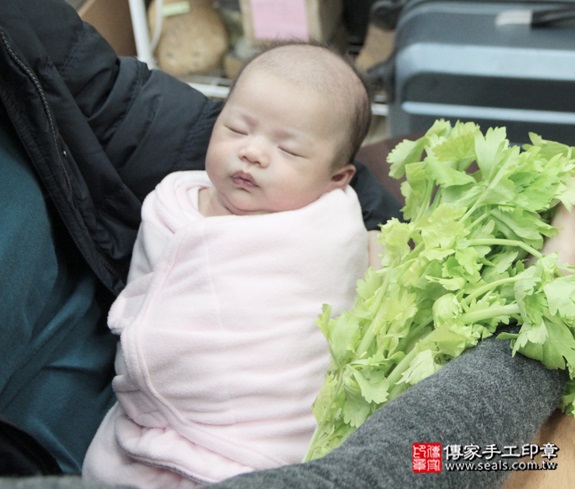 剃胎毛、滿月剃頭、嬰兒剃頭、嬰兒理髮、嬰兒剃髮、嬰兒剃胎毛、嬰兒滿月剃頭、寶寶剃頭、剃胎毛儀式、剃胎毛吉祥話、滿月剃頭儀式、滿月剃頭吉祥話、寶寶剃胎毛、寶寶滿月剃頭理髮、新北永和區剃胎毛、新北永和區滿月剃頭、新北永和區嬰兒剃頭剃胎毛、新北永和區嬰兒理髮、新北永和區嬰兒剃髮、呂寶寶(新北永和區嬰兒寶寶滿月剃頭理髮、免費嬰兒剃胎毛儀式吉祥話)。中國風會場，爸媽寶貝免費穿「日中韓」古裝禮服。專業拍照、DVD光碟、證書。★購買「臍帶章、肚臍章、胎毛筆刷印章」贈送：剃頭、收涎、抓周，三選一。2015.12.18 照片11