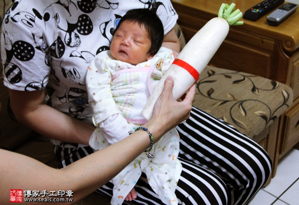 剃胎毛、滿月剃頭、嬰兒剃頭、嬰兒理髮、嬰兒剃髮、嬰兒剃胎毛、嬰兒滿月剃頭、寶寶剃頭、剃胎毛儀式、剃胎毛吉祥話、滿月剃頭儀式、滿月剃頭吉祥話、寶寶剃胎毛、寶寶滿月剃頭理髮、 新北永和區剃胎毛、新北永和區滿月剃頭、 新北永和區嬰兒剃頭剃胎毛、新北永和區嬰兒理髮、新北永和區嬰兒剃髮、小蘋果(新北永和區到府嬰兒寶寶滿月剃頭理髮、免費到府嬰兒剃胎毛儀式吉祥話)。到府剃頭剃胎毛主持、專業拍照、DVD光碟、證書。★購買「臍帶章、肚臍章、胎毛筆刷印章」贈送：剃頭、收涎、抓周，三選一。2016.05.19  照片13