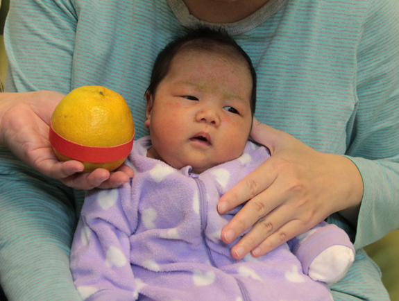 剃胎毛、滿月剃頭、嬰兒剃頭、嬰兒理髮、嬰兒剃髮、嬰兒剃胎毛、嬰兒滿月剃頭、寶寶剃頭、剃胎毛儀式、剃胎毛吉祥話、滿月剃頭儀式、滿月剃頭吉祥話、寶寶剃胎毛、寶寶滿月剃頭理髮、 新北永和區剃胎毛、新北永和區滿月剃頭、 新北永和區嬰兒剃頭剃胎毛、新北永和區嬰兒理髮、新北永和區嬰兒剃髮、鄭寶寶(新北永和區到府嬰兒寶寶滿月剃頭理髮、免費到府嬰兒剃胎毛儀式吉祥話)。到府剃頭剃胎毛主持、專業拍照、DVD光碟、證書。★購買「臍帶章、肚臍章、胎毛筆刷印章」贈送：剃頭、收涎、抓周，三選一。2015.12.19 照片9
