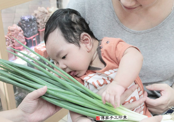 張寶寶(新北永和區嬰兒寶寶滿月剃頭理髮、免費嬰兒剃胎毛儀式吉祥話)。中國風會場，爸媽寶貝免費穿「日中韓」古裝禮服。專業拍照、DVD光碟、證書。★購買「臍帶章、肚臍章、胎毛筆刷印章」贈送：剃頭、收涎、抓周，三選一。 2015.11.05 照片9