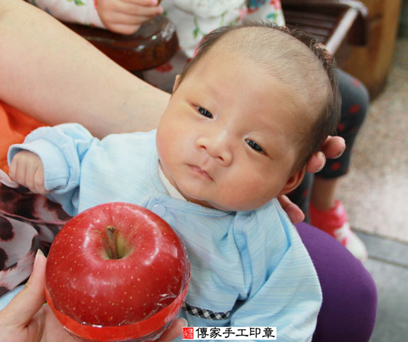 陳寶寶(新北永和區到府嬰兒寶寶滿月剃頭理髮、免費到府嬰兒剃胎毛儀式吉祥話)。到府剃頭剃胎毛主持、專業拍照、DVD光碟、證書。★購買「臍帶章、肚臍章、胎毛筆刷印章」贈送：剃頭、收涎、抓周，三選一。2014.11.05 照片11