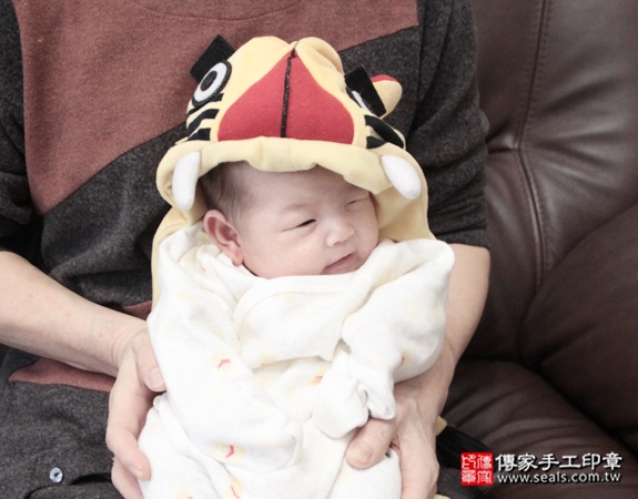 剃胎毛、滿月剃頭、嬰兒剃頭、嬰兒理髮、嬰兒剃髮、嬰兒剃胎毛、嬰兒滿月剃頭、寶寶剃頭、剃胎毛儀式、剃胎毛吉祥話、滿月剃頭儀式、滿月剃頭吉祥話、寶寶剃胎毛、寶寶滿月剃頭理髮、 台北文山區剃胎毛、台北文山區滿月剃頭、 台北文山區嬰兒剃頭剃胎毛、台北文山區嬰兒理髮、台北文山區嬰兒剃髮、郭寶寶(台北文山區到府嬰兒寶寶滿月剃頭理髮、免費到府嬰兒剃胎毛儀式吉祥話)。到府剃頭剃胎毛主持、專業拍照、DVD光碟、證書。★購買「臍帶章、肚臍章、胎毛筆刷印章」贈送：剃頭、收涎、抓周，三選一。2015.12.23 照片2