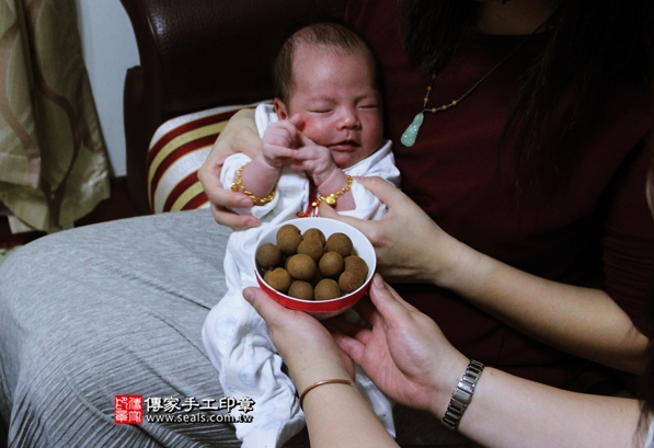 剃胎毛、滿月剃頭、嬰兒剃頭、嬰兒理髮、嬰兒剃髮、嬰兒剃胎毛、嬰兒滿月剃頭、寶寶剃頭、剃胎毛儀式、剃胎毛吉祥話、滿月剃頭儀式、滿月剃頭吉祥話、寶寶剃胎毛、寶寶滿月剃頭理髮、 新北新莊區剃胎毛、新北新莊區滿月剃頭、 新北新莊區嬰兒剃頭剃胎毛、新北新莊區嬰兒理髮、新北新莊區嬰兒剃髮、謝寶寶(新北新莊區到府嬰兒寶寶滿月剃頭理髮、免費到府嬰兒剃胎毛儀式吉祥話)。到府剃頭剃胎毛主持、專業拍照、DVD光碟、證書。★購買「臍帶章、肚臍章、胎毛筆刷印章」贈送：剃頭、收涎、抓周，三選一。2016.04.10  照片7