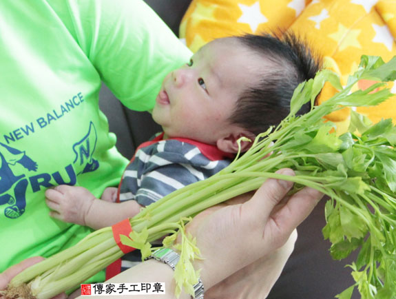 林寶寶(新北五股區到府嬰兒寶寶滿月剃頭理髮、免費到府嬰兒剃胎毛儀式吉祥話)。到府剃頭剃胎毛主持、專業拍照、DVD光碟、證書。★購買「臍帶章、肚臍章、胎毛筆刷印章」贈送：剃頭、收涎、抓周，三選一。2015.06.02 照片11